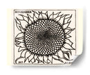Girasol novembrino - I - Julie de Graag | Cuadro decorativo de Canvas Lab