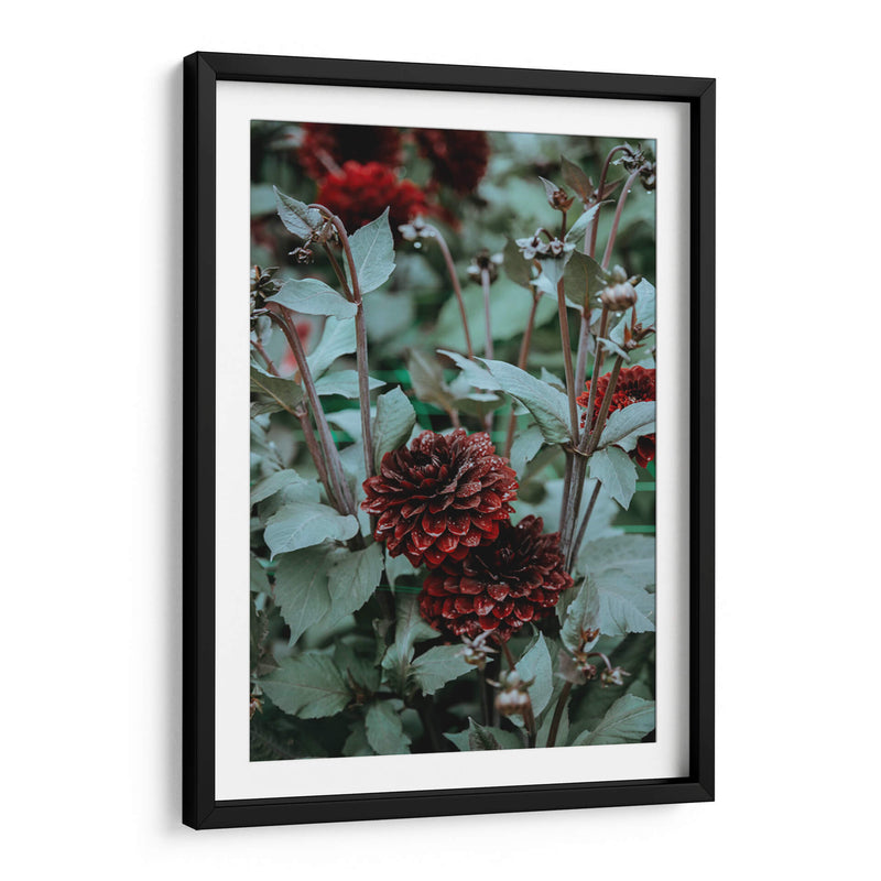 Deseos guinda | Cuadro decorativo de Canvas Lab