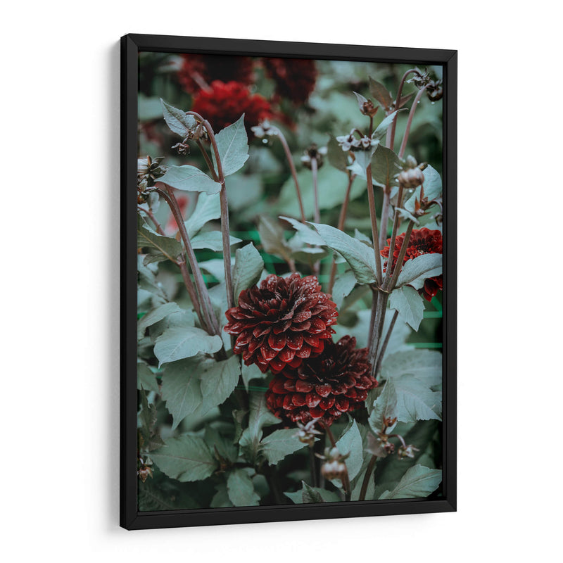 Deseos guinda | Cuadro decorativo de Canvas Lab