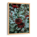 Deseos guinda | Cuadro decorativo de Canvas Lab