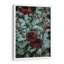 Deseos guinda | Cuadro decorativo de Canvas Lab