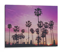 Atardecer morado | Cuadro decorativo de Canvas Lab