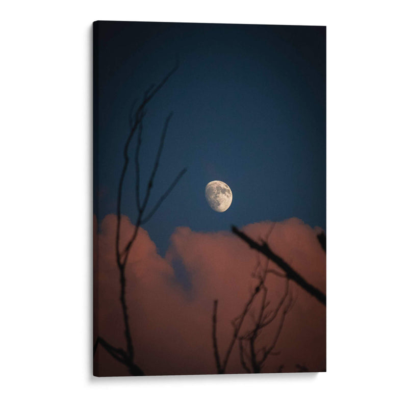 Luna de Verano - El Maik | Cuadro decorativo de Canvas Lab