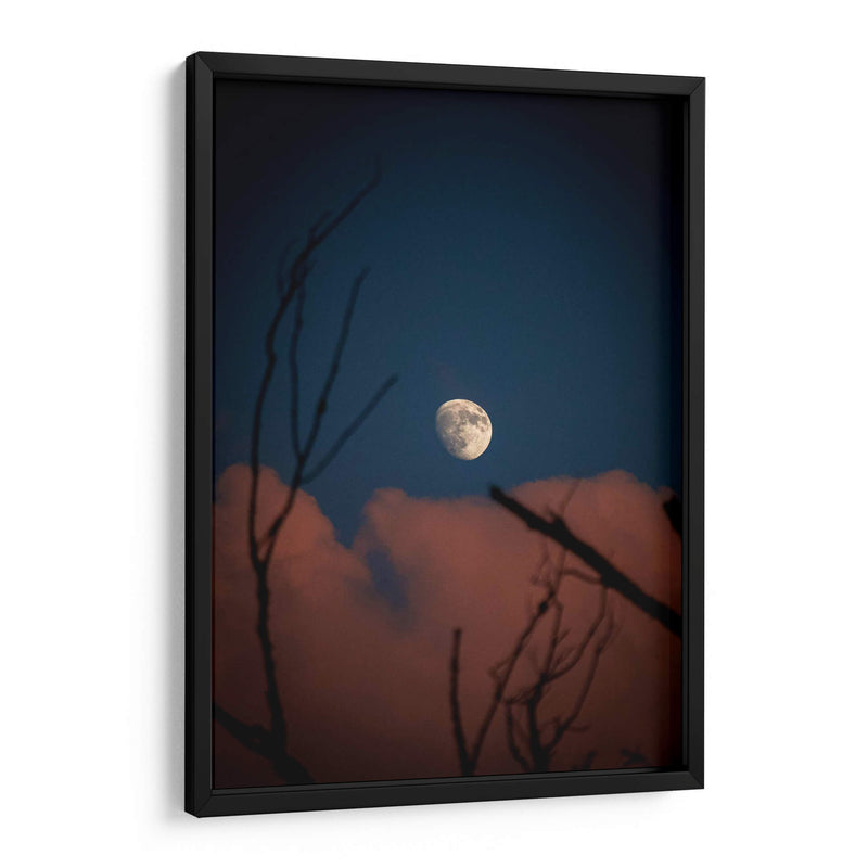 Luna de Verano - El Maik | Cuadro decorativo de Canvas Lab