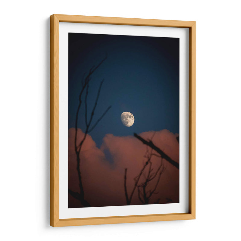 Luna de Verano - El Maik | Cuadro decorativo de Canvas Lab