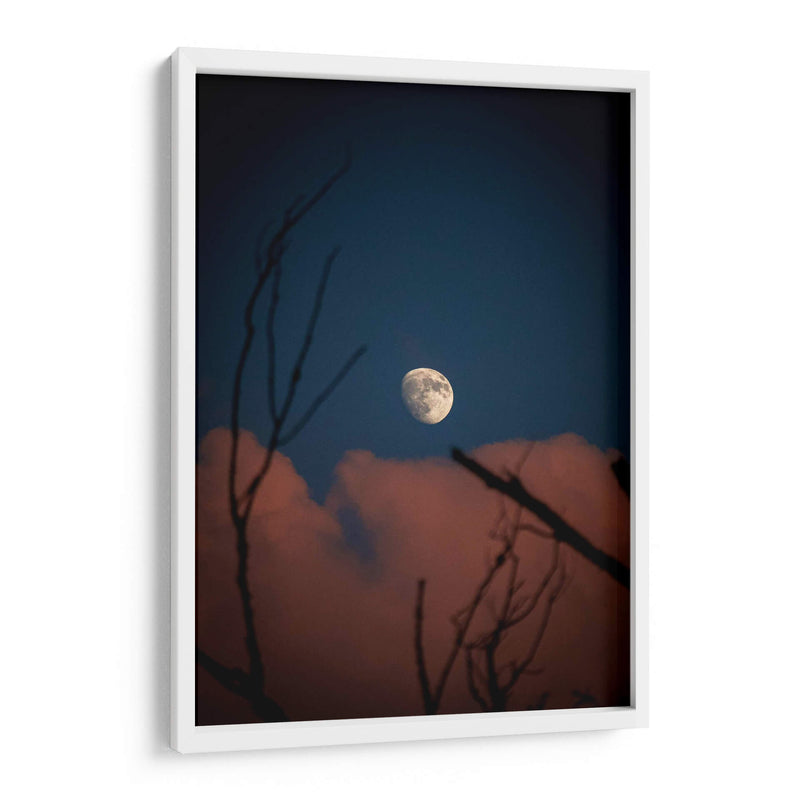 Luna de Verano - El Maik | Cuadro decorativo de Canvas Lab