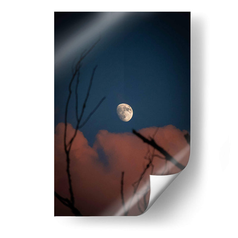 Luna de Verano - El Maik | Cuadro decorativo de Canvas Lab