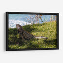 Iguana - Ana Torres | Cuadro decorativo de Canvas Lab