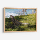Iguana - Ana Torres | Cuadro decorativo de Canvas Lab