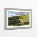 Iguana - Ana Torres | Cuadro decorativo de Canvas Lab