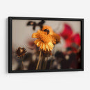 The bee and the flower - Ana Torres | Cuadro decorativo de Canvas Lab