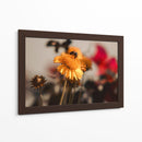 The bee and the flower - Ana Torres | Cuadro decorativo de Canvas Lab