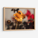 The bee and the flower - Ana Torres | Cuadro decorativo de Canvas Lab