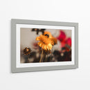The bee and the flower - Ana Torres | Cuadro decorativo de Canvas Lab