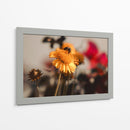 The bee and the flower - Ana Torres | Cuadro decorativo de Canvas Lab