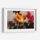 The bee and the flower - Ana Torres | Cuadro decorativo de Canvas Lab