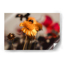 The bee and the flower - Ana Torres | Cuadro decorativo de Canvas Lab