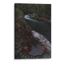 Rio mistico - JORGE VARGAS | Cuadro decorativo de Canvas Lab