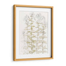 Phlox Color Sketch - Julie de Graag | Cuadro decorativo de Canvas Lab