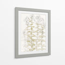 Phlox Color Sketch - Julie de Graag | Cuadro decorativo de Canvas Lab