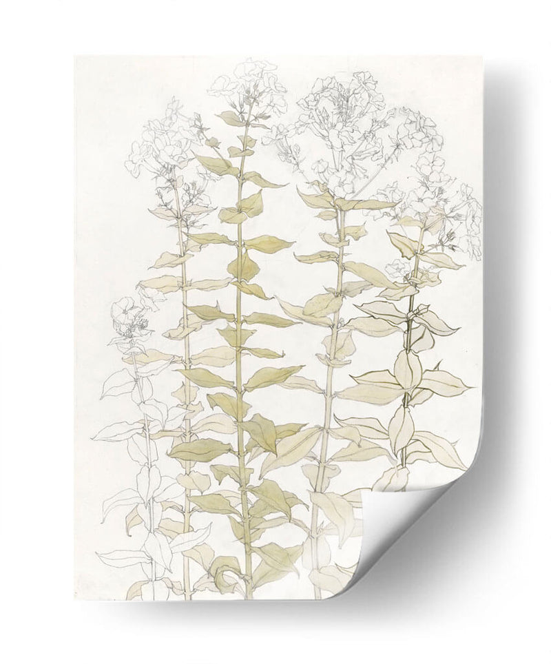 Cuadro decorativo de Canvas Lab