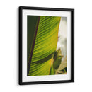 Textura de hoja - Nacifilm | Cuadro decorativo de Canvas Lab