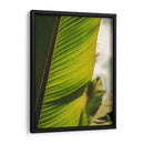 Textura de hoja - Nacifilm | Cuadro decorativo de Canvas Lab