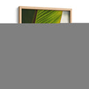 Textura de hoja - Nacifilm | Cuadro decorativo de Canvas Lab