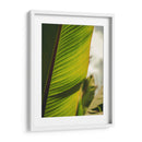 Textura de hoja - Nacifilm | Cuadro decorativo de Canvas Lab