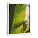 Textura de hoja - Nacifilm | Cuadro decorativo de Canvas Lab