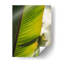 Textura de hoja - Nacifilm | Cuadro decorativo de Canvas Lab