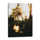 Naturaleza Cercana - Nacifilm | Cuadro decorativo de Canvas Lab