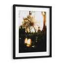 Naturaleza Cercana - Nacifilm | Cuadro decorativo de Canvas Lab