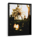 Naturaleza Cercana - Nacifilm | Cuadro decorativo de Canvas Lab