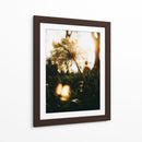 Naturaleza Cercana - Nacifilm | Cuadro decorativo de Canvas Lab