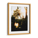 Naturaleza Cercana - Nacifilm | Cuadro decorativo de Canvas Lab