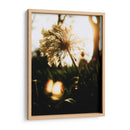 Naturaleza Cercana - Nacifilm | Cuadro decorativo de Canvas Lab