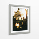 Naturaleza Cercana - Nacifilm | Cuadro decorativo de Canvas Lab