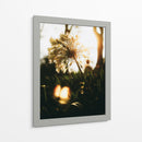 Naturaleza Cercana - Nacifilm | Cuadro decorativo de Canvas Lab