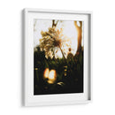 Naturaleza Cercana - Nacifilm | Cuadro decorativo de Canvas Lab