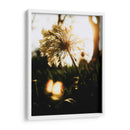 Naturaleza Cercana - Nacifilm | Cuadro decorativo de Canvas Lab