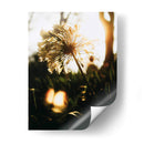 Naturaleza Cercana - Nacifilm | Cuadro decorativo de Canvas Lab