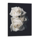 Tres rosas blancas en fondo negro - Nacifilm | Cuadro decorativo de Canvas Lab