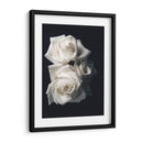 Tres rosas blancas en fondo negro - Nacifilm | Cuadro decorativo de Canvas Lab