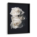 Tres rosas blancas en fondo negro - Nacifilm | Cuadro decorativo de Canvas Lab