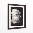 Tres rosas blancas en fondo negro - Nacifilm | Cuadro decorativo de Canvas Lab