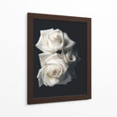 Tres rosas blancas en fondo negro - Nacifilm | Cuadro decorativo de Canvas Lab