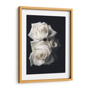 Tres rosas blancas en fondo negro - Nacifilm | Cuadro decorativo de Canvas Lab