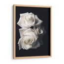 Tres rosas blancas en fondo negro - Nacifilm | Cuadro decorativo de Canvas Lab