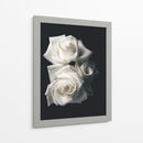 Tres rosas blancas en fondo negro - Nacifilm | Cuadro decorativo de Canvas Lab